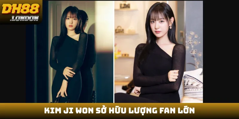 Kim Ji Won sở hữu lượng fan lớn